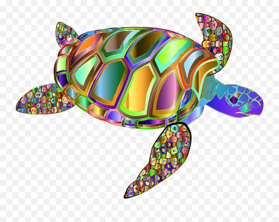 Free Photo Tortoise Turtle Ornamental - Gambar Dekoratif Hewan Kura Kura Emoji,Turtle Emotions