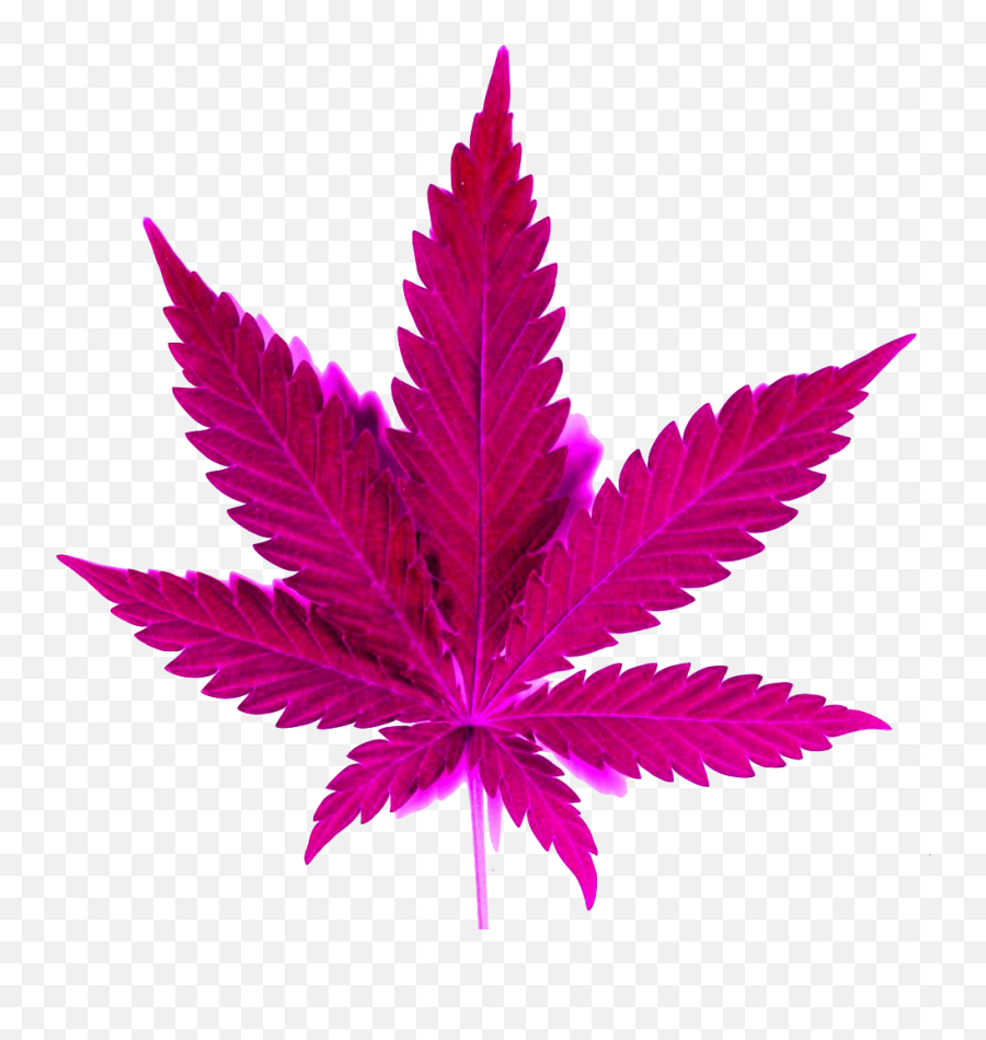 Weed Png - Clip Art Library Marijuanas Plants Emoji,Weed Leaf Emoticon