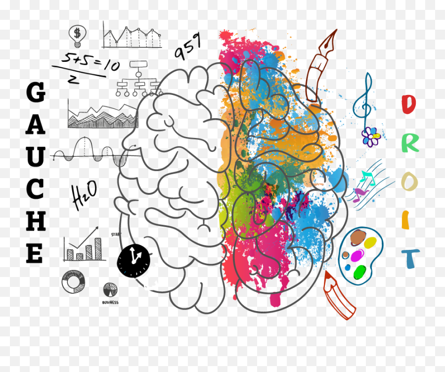 Oméga 3 Et Cerveau Archives - Cerveau Gauche Cerveau Dessin Emoji,Cerveau Gauche Emotion