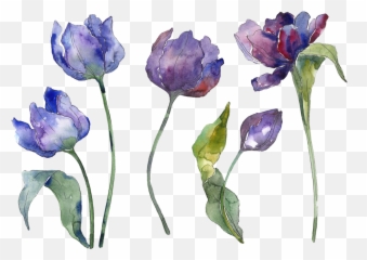 Flores Naturaleza Acuarela Sticker - Tulips Blue Watercolor Png Emoji,Acuarela Emojis