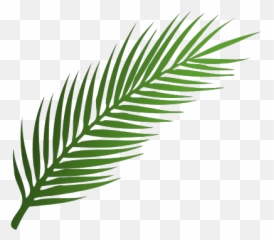 Gtsport Decal Search Engine - Palm Tree Leaf Silhouette Emoji,How To Make A Palm Tree Emoticon
