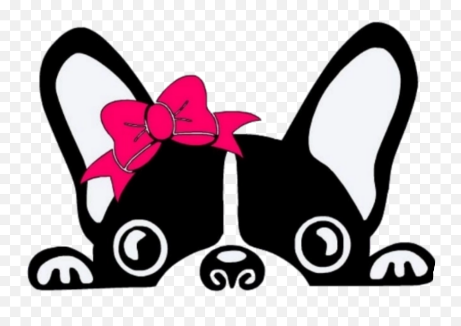 Girly Cute Sticker Pink Sticker By Carolynemalan2 - Boston Terrier Car Decal Emoji,Weed And Cool And Mood With Emojis Pics Qoutes