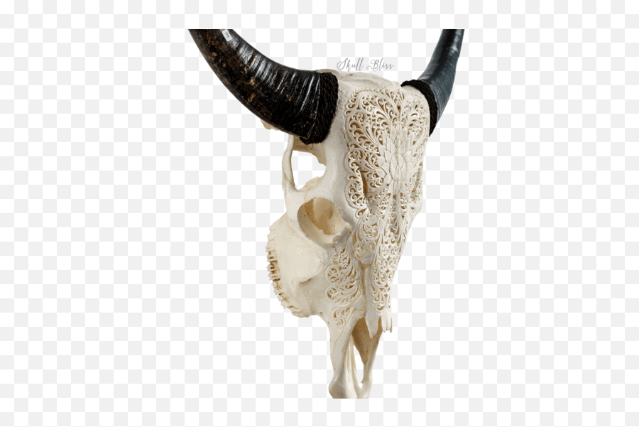 Carved Cow Skull - White Lotus Animal Figure Emoji,Skull & Acrossbones Emoticon