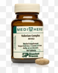 Min - Echinacea Premium Standard Process Emoji,The Acid Emotion Eating At The Spleen