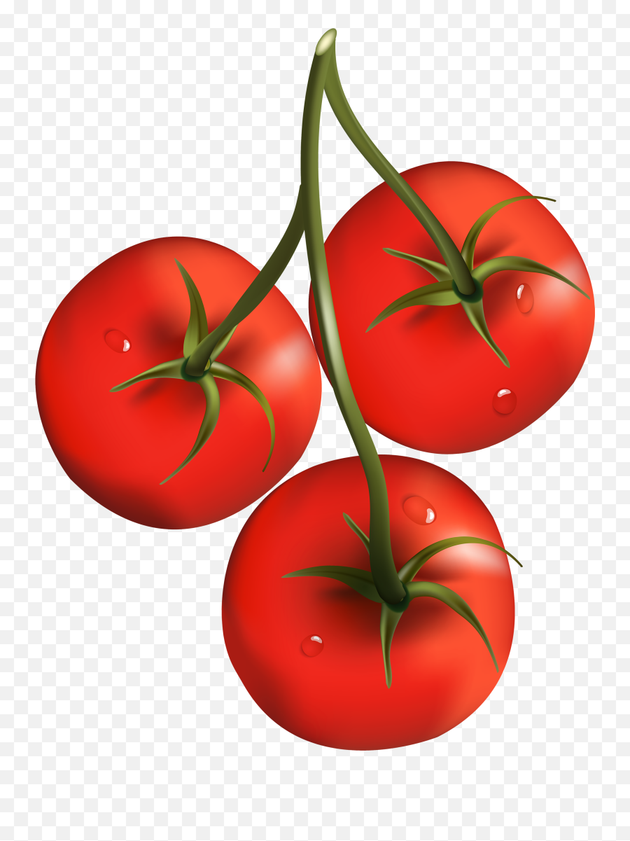 Tomatoes Png - Tomatoes Png Clipart Emoji,Tomato Emoji