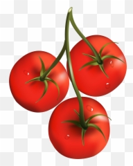Tomatoes Png - Tomatoes Png Clipart Emoji,Tomato Emoji