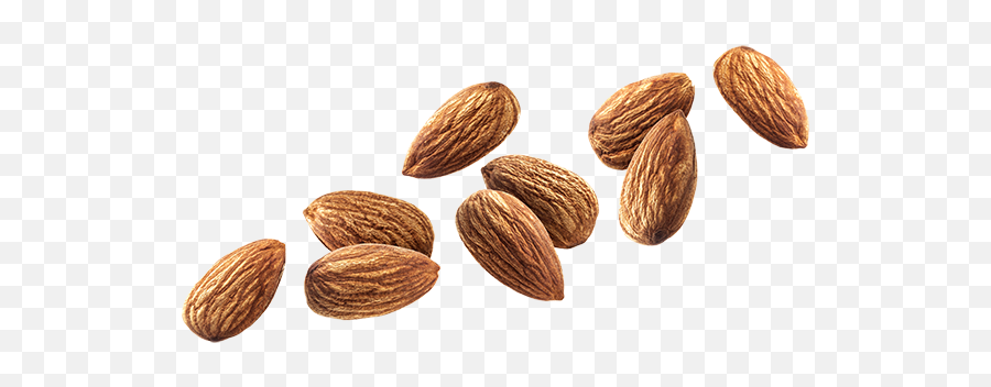 Almond Nut Png Transparent Image Png Mart Emoji,Nut Emojis