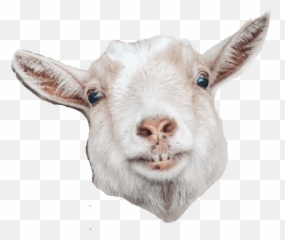 Goat Emoji,Goat Emojis