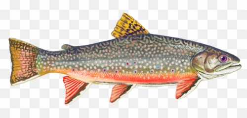 The Lakes Pipestone Fly - In Outposts Emoji,Fish Emoji Zoom