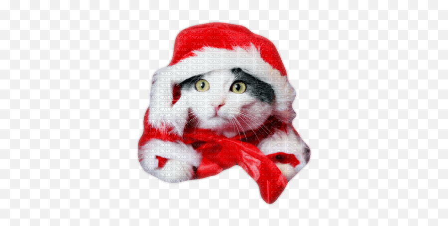 Catsu0027nu0027kittens Christmas Noel Cat Chat Pere Santa Emoji,Santa Hat Emoticon