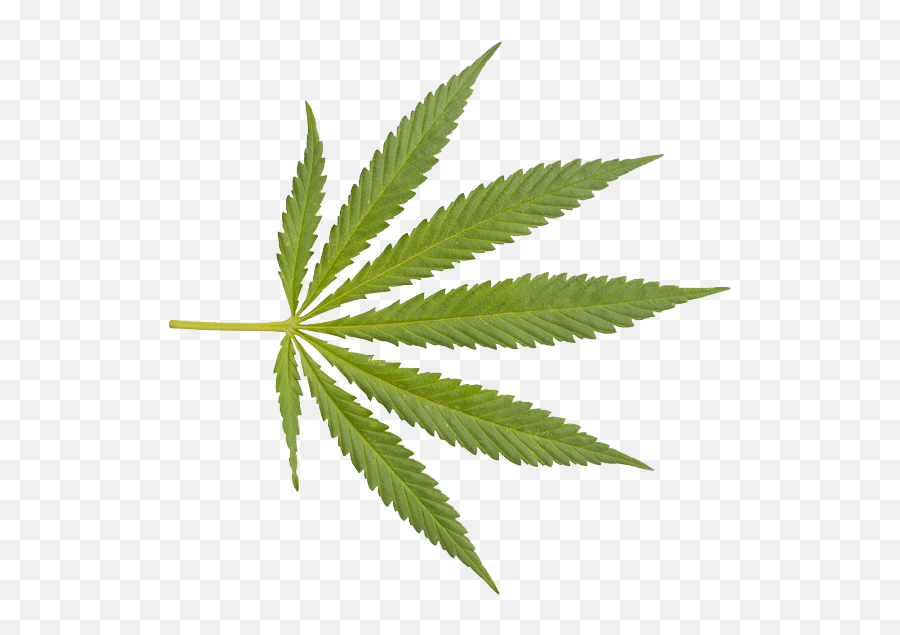 Marijuana Closeup Weed Png - Marijuana Emoji,Marijuana Emoji Free