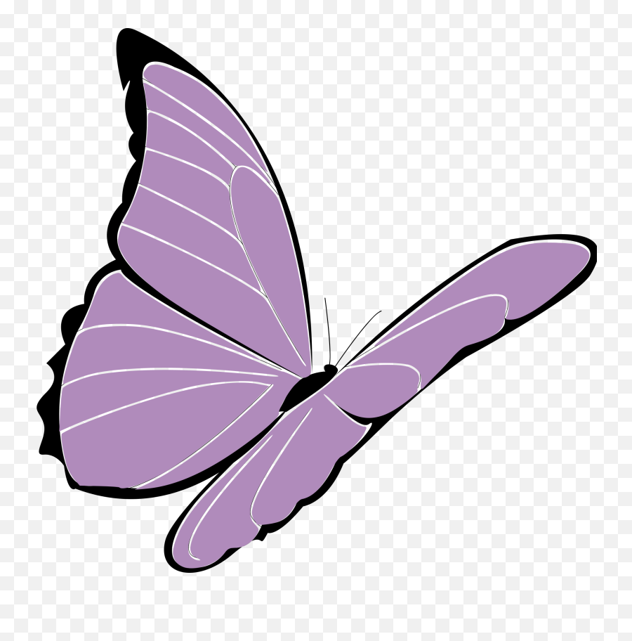 Purple Butterfly Clipart Free Download Transparent Png - Transparent Butterfly Animated Png Emoji,Pink Butterfly Emoji