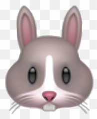Emoji Sticker Rabbit Emojirabit Sticker - Emoji,Rabbit Emoji