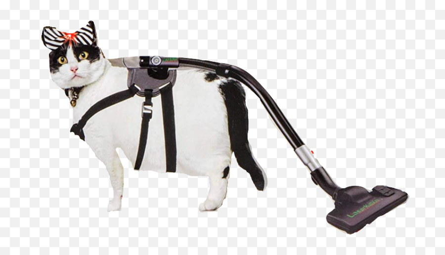 Laserkatvac The 1 Cat Vacuum - Have Your Cat Clean Floors Mister Chubbles Laser Cat Vacuum Emoji,Relaxed Cat Emoticon