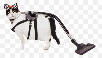 Laserkatvac The 1 Cat Vacuum - Have Your Cat Clean Floors Mister Chubbles Laser Cat Vacuum Emoji,Relaxed Cat Emoticon
