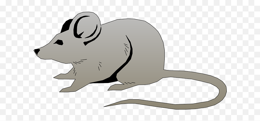 100 Free Rodent U0026 Mouse Vectors - Pixabay Mouse Clipart Emoji,Gerbil Tail Emotions