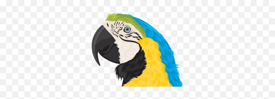 Stickers Png And Vectors For Free Download - Dlpngcom Parrot Head Png Emoji,Printable Emoji Stickers
