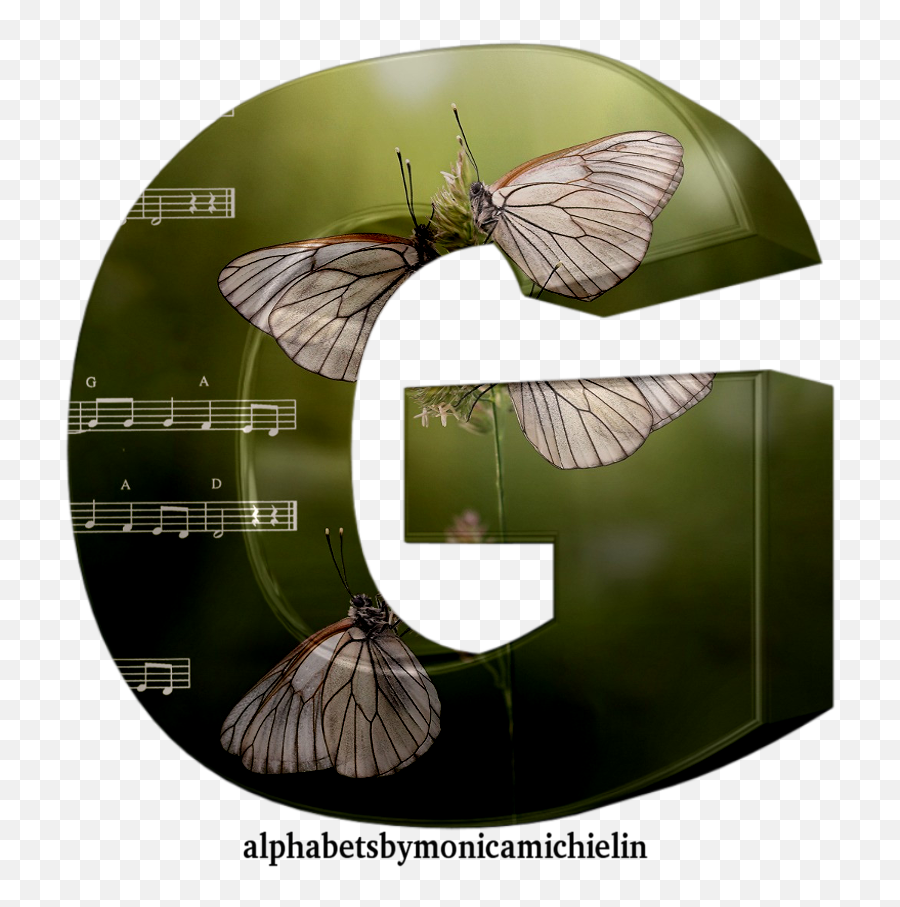 Monica Michielin Alphabets Green White Butterflies Alphabet - Pieridae Emoji,Emoji De Fornalha