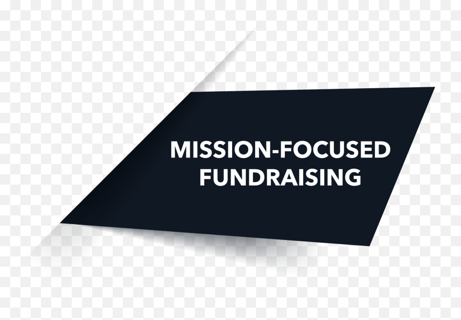 Annual Fundraising The Advancement Group - Horizontal Emoji,Evoke Emotion