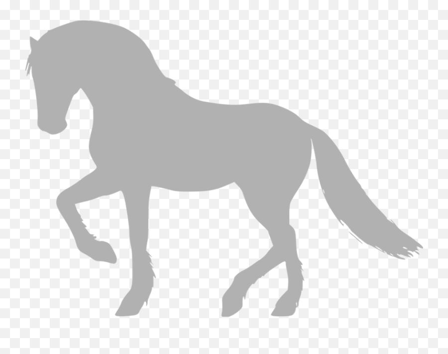 Equestrian Emoji,Star Stable Emotions Of A Horse