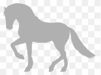 Equestrian Emoji,Star Stable Emotions Of A Horse