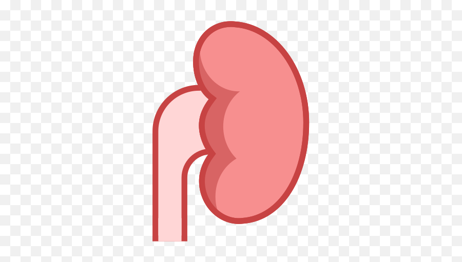 Kidney Icon U2013 Free Download Png And Vector Emoji,Pink Heart Emoji Html