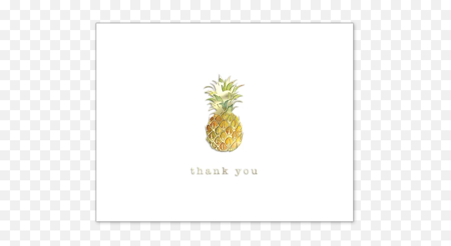 Thank You Boxed Note Cards - Picture Frame Emoji,Pineapple Emoji Pillow