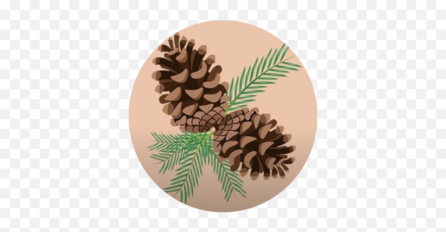 Pinecone Sticker Challenge - Virginia Pine Emoji,Pine Cone Emoji