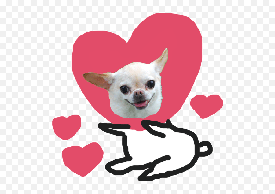 Chihuahua Love - Chihuahua Gif Transparent Background Emoji,Chihuahua Emoji