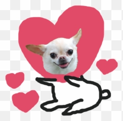 Chihuahua Love - Chihuahua Gif Transparent Background Emoji,Chihuahua Emoji