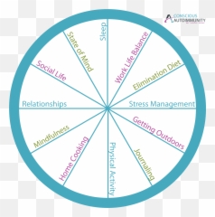 The Reintroduction Process Balancing Life Style Factors - Dot Emoji,Journaling Emotions Boss