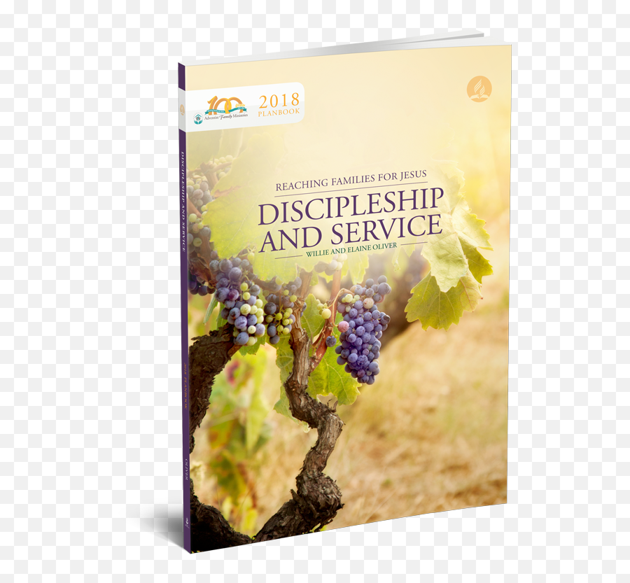 discipleship-and-service-superfood-emoji-healing-damaged-emotions-dr