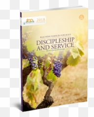 Discipleship And Service - Superfood Emoji,Healing Damaged Emotions Dr Stanley