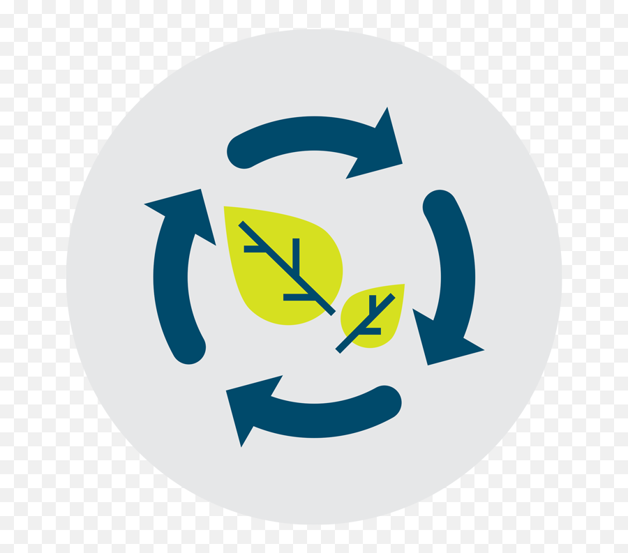 Environmental Sustainability - Business Process Organization Development Emoji,Parking Emoticon Red