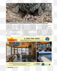 August 2020 - Issue 25 Tortoise Emoji,Weed Numbs Emotions Quotes