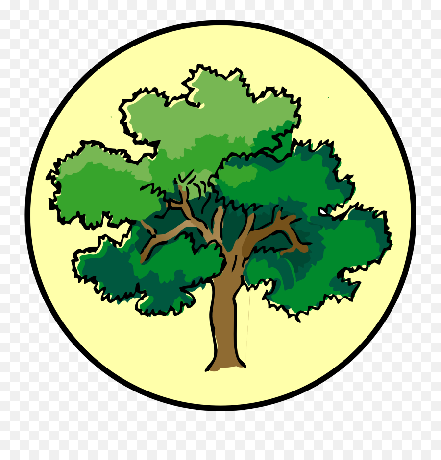 Oak Tree Clipart Free Image Download - Tree Drawing With Color Emoji,Plant, Emotions, Clipart