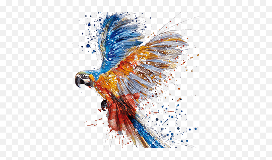 Parrot Watercolor Painting Drawing Art - Whatsapp Dp Painting Dp Emoji,Parrot Emoji