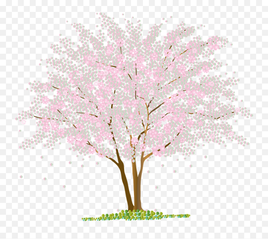 Free Photo Flowers Petals Sakura Tree - 2021 3 Emoji,Sakura Sakura Sweet Emotion