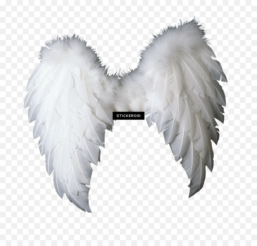White Angel Wings Png Transparent Image Png Arts Emoji,Angel Wings Emoji