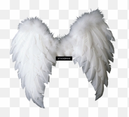 White Angel Wings Png Transparent Image Png Arts Emoji,Angel Wings Emoji