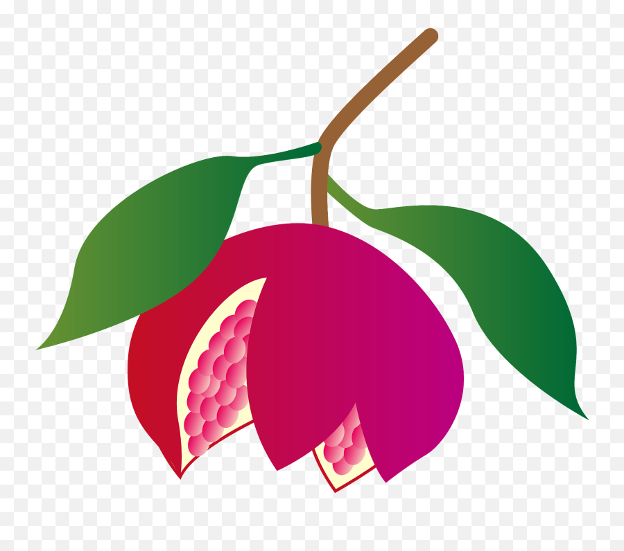Pomegranate Clipart - Fresh Emoji,Passion Fruit Emoji