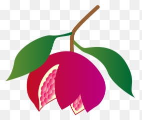 Pomegranate Clipart - Fresh Emoji,Passion Fruit Emoji
