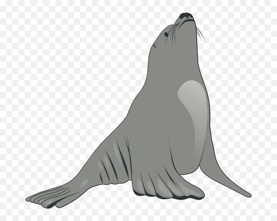 Sea Lion Png Download Free Clip Art - Sea Lion Clipart Emoji,Sea Lion Emoji