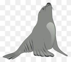 Sea Lion Png Download Free Clip Art - Sea Lion Clipart Emoji,Sea Lion Emoji