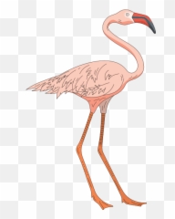 Pink Flamingo Clip Art Free Cliparts - Flamingo Clip Art Emoji,Flamingo Emoji