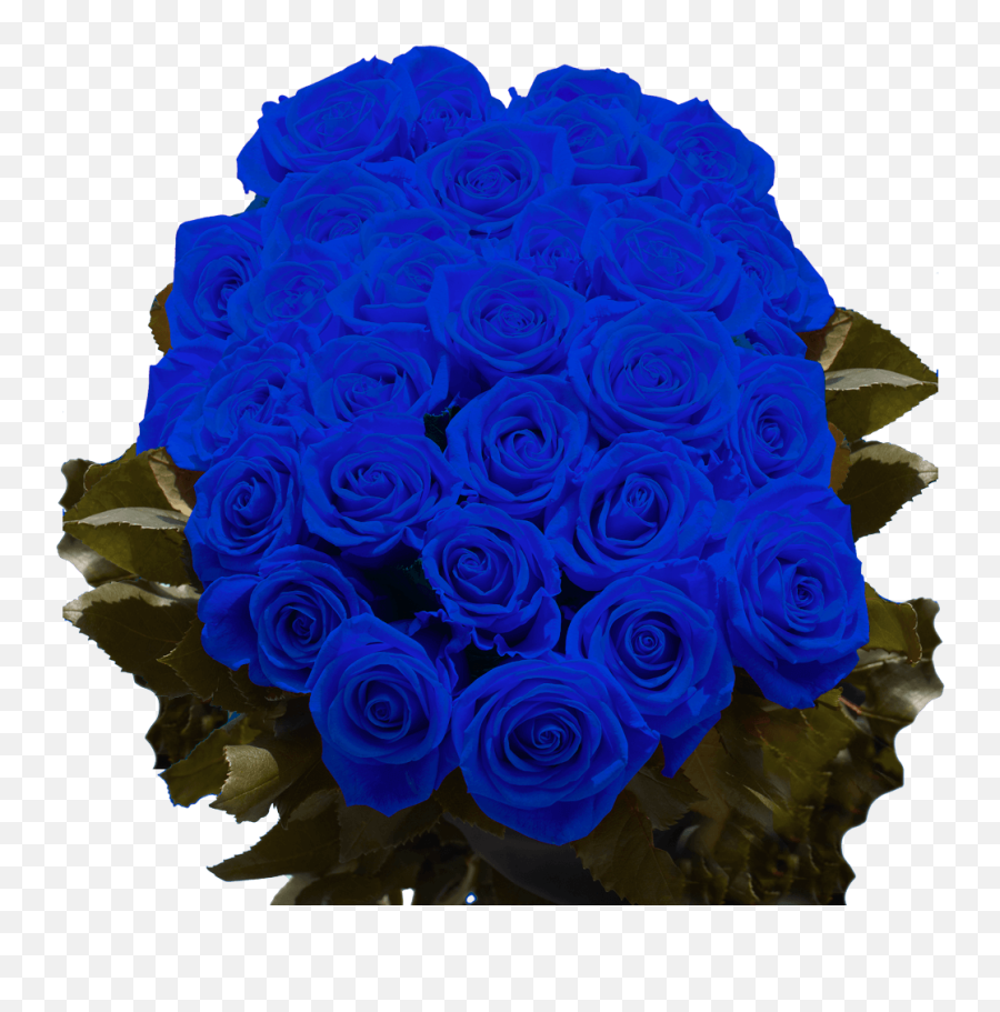 Blue Roses Low Prices Online - Blue Roses Delivery Emoji,Emotions Pom Pom Balls