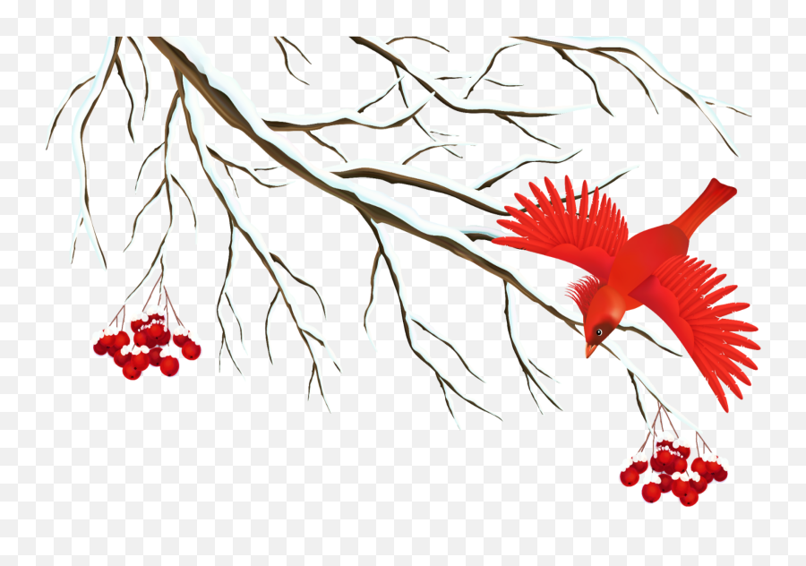 Mq Tree Snow Red Bird Birds Sticker By Marras - Png Clipart Transparent Winter Png Emoji,Red Bird Emoji