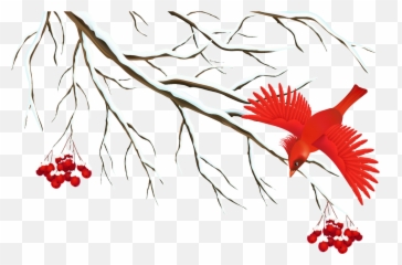 Mq Tree Snow Red Bird Birds Sticker By Marras - Png Clipart Transparent Winter Png Emoji,Red Bird Emoji