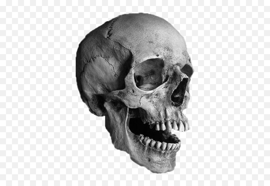 Pin By Kalyn Bruflodt On Skulls Skull Skull And Bones Art - Caveira Referencia Emoji,Skull & Acrossbones Emoticon
