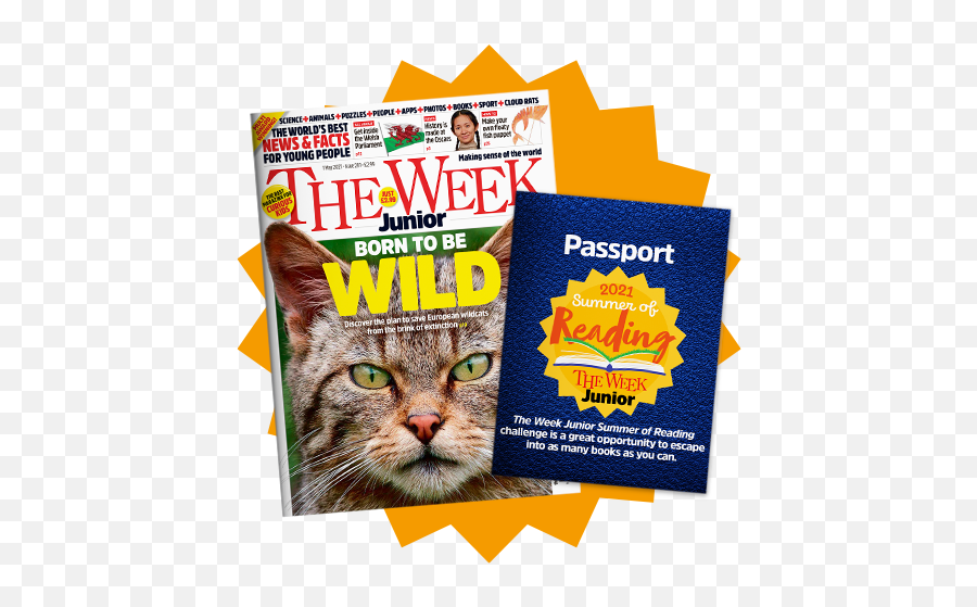 The Week Junior Get Children Reading This Summer - Week Junior Issue 281 Emoji,Reading Peoples Emotions Book